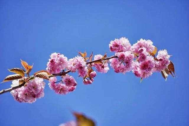 情侣朋友圈秀恩爱的甜蜜短句子