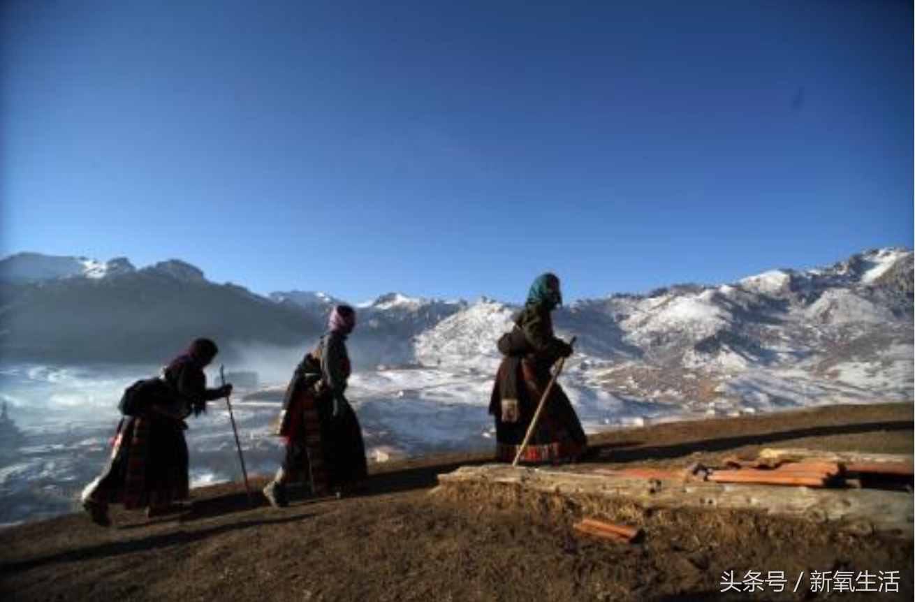 想去西藏磕长头 西藏朝圣文化你真的懂吗