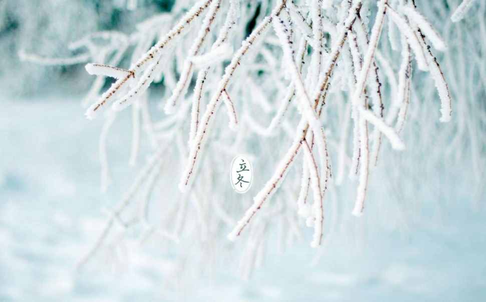 又是一年立冬时，十首立冬的古诗词里，感受立冬的诗意