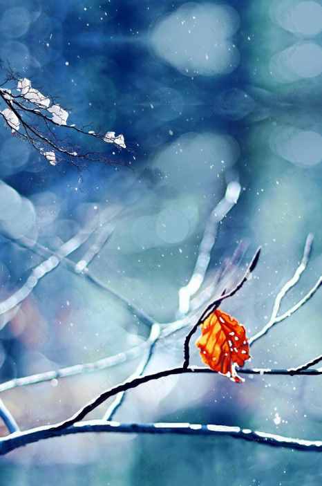 又是一年立冬时，十首立冬的古诗词里，感受立冬的诗意