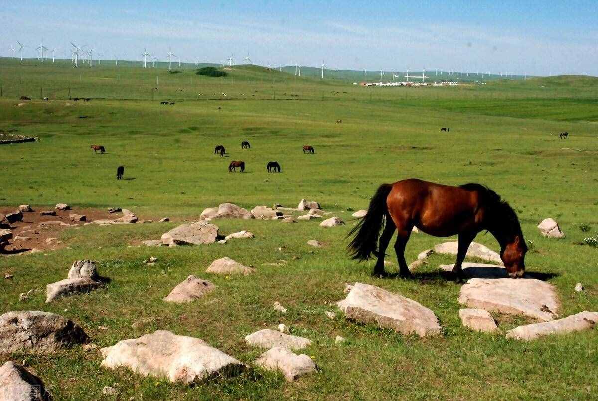 风吹草低见牛羊——内蒙古行政区划：九市三盟