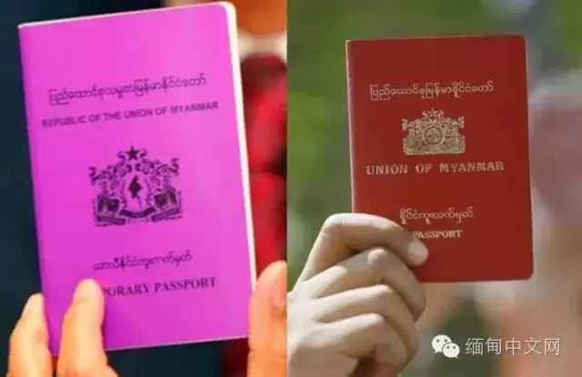 缅甸竟有9种类型护照！它们各代表什么？