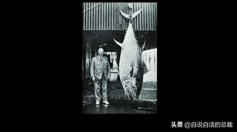 30年前只能做猫粮，今天为何变成奢侈品？蓝鳍金枪鱼为何如此贵