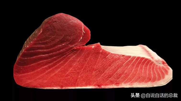 30年前只能做猫粮，今天为何变成奢侈品？蓝鳍金枪鱼为何如此贵
