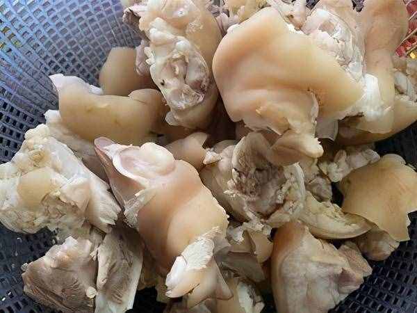 营养又好吃的砂锅炖猪蹄，多吃猪蹄补充胶原蛋白
