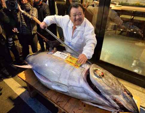 50年前没人要，拿来喂猫的蓝鳍金枪鱼，如何成吃不起的奢侈品？