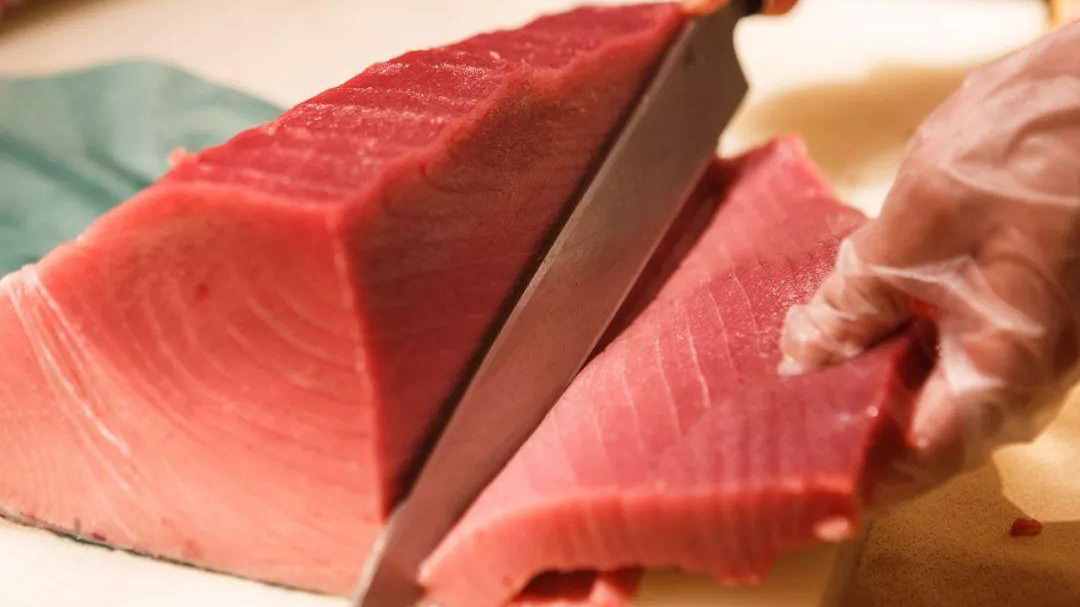 50年前没人要，拿来喂猫的蓝鳍金枪鱼，如何成吃不起的奢侈品？
