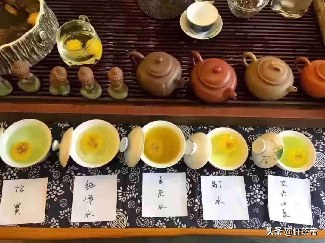 茶友：好恐怖！菊花茶居然变绿了！是不是有毒？