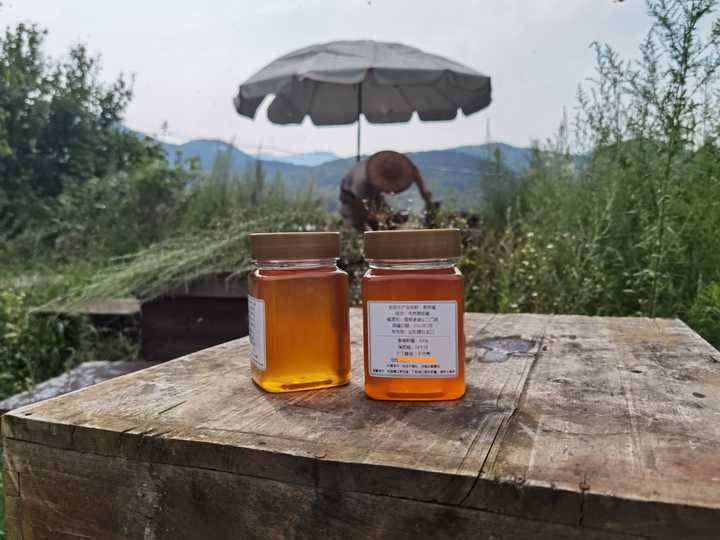 怎么辨别蜂蜜真假？