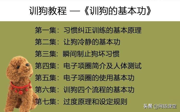 30天让爱犬变乖巧，适合所有犬种训练视频教程！限时免费赠送