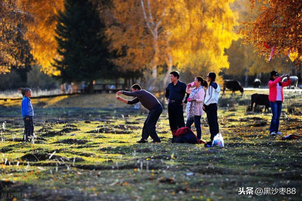 新疆旅游打卡之十六——环准噶尔盆地游