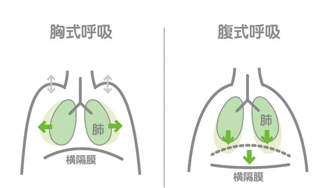 腹式呼吸，气沉丹田，到底该怎么练？脑能呼吸了解下