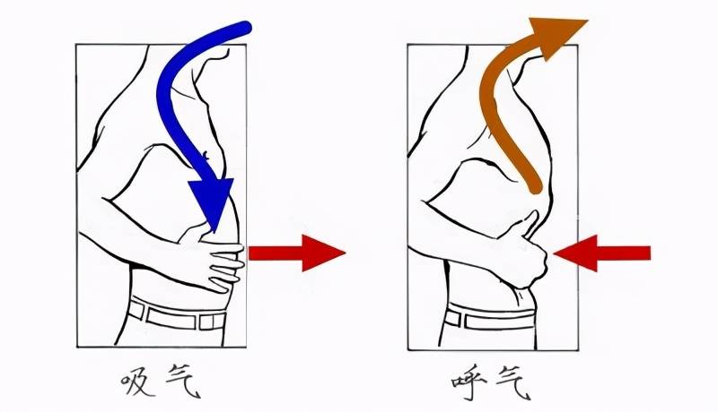 腹式呼吸，气沉丹田，到底该怎么练？脑能呼吸了解下