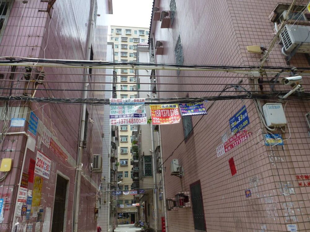 深圳，一座孤独的城市