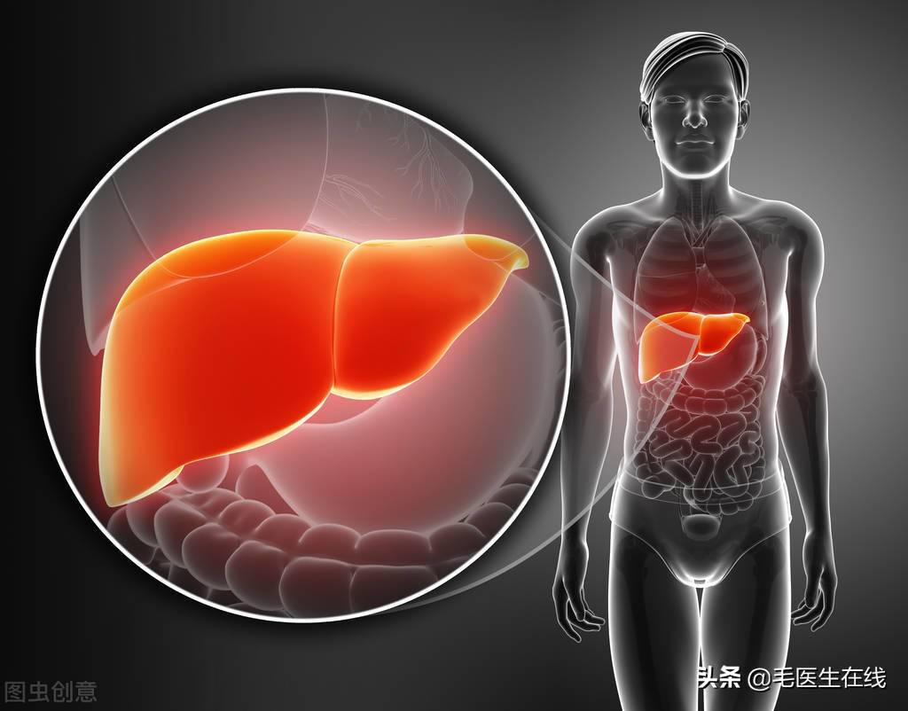 脂肪肝能治愈吗？不治疗会怎样？三个方法助你清除肝脏多余的脂肪