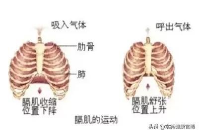 跑着、走着、躺着突然就岔气了？怎么快速解决这种“呼吸痛”？