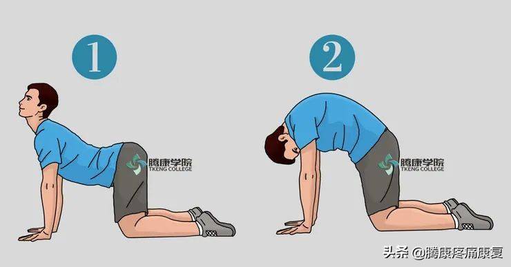 五个改善骨盆前倾的矫正拉伸训练