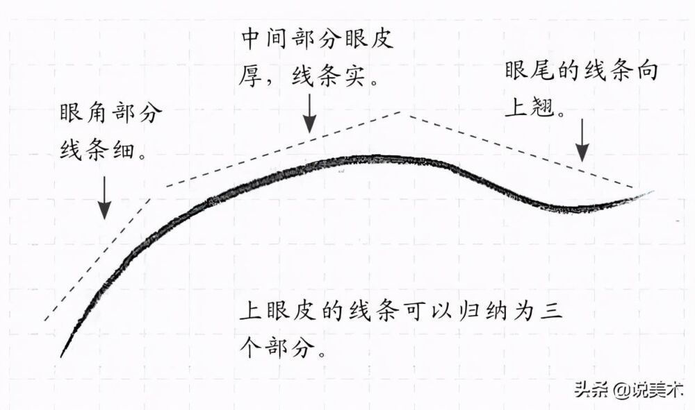 素描入门教程：眼睛结构的讲解以及画法步骤