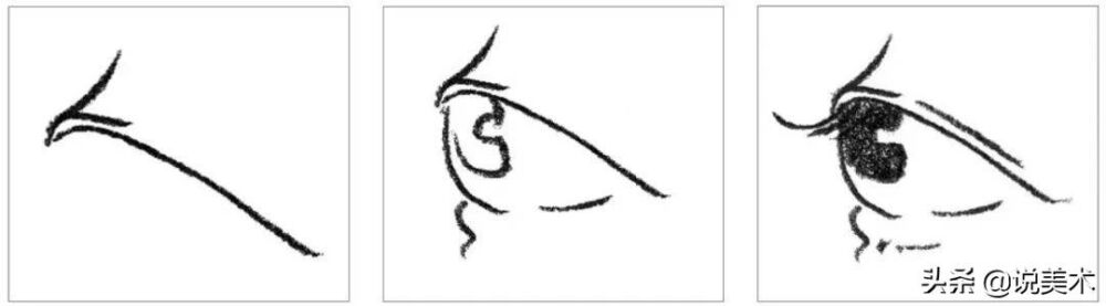 素描入门教程：眼睛结构的讲解以及画法步骤