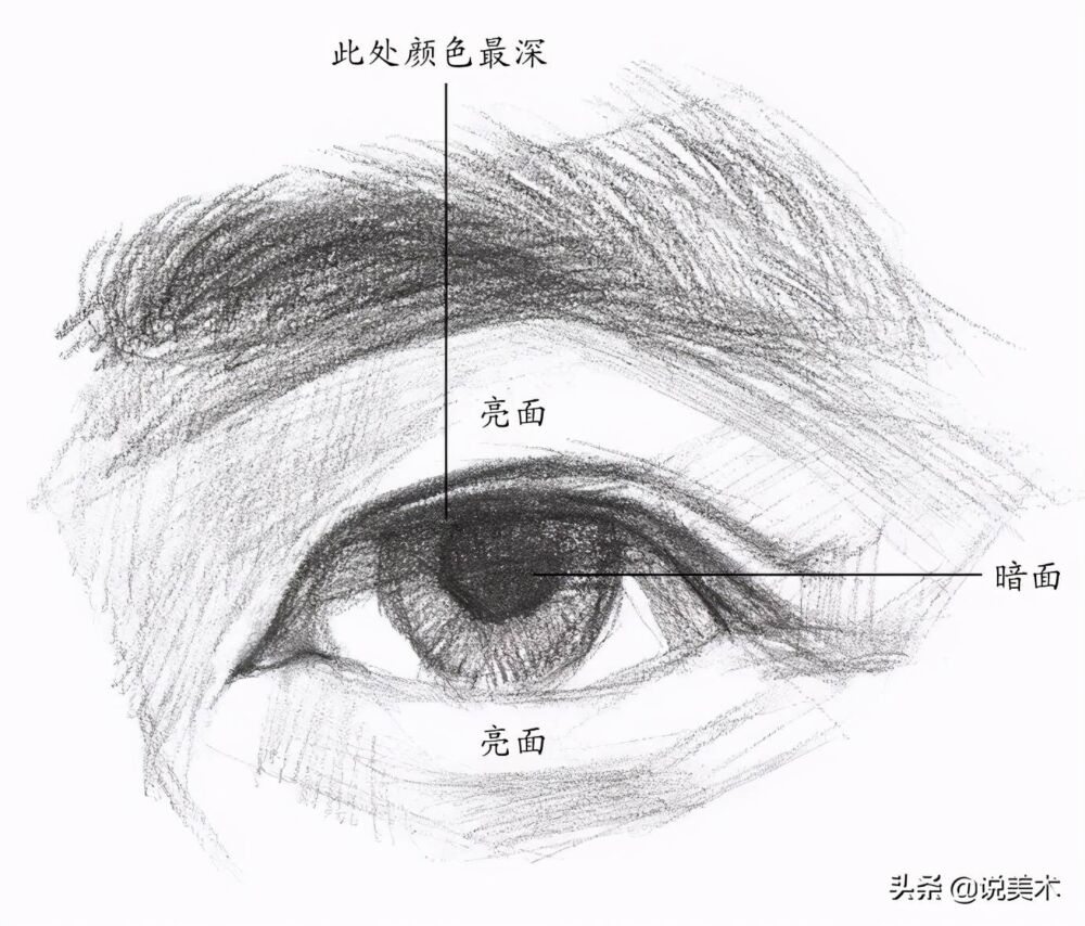 素描入门教程：眼睛结构的讲解以及画法步骤