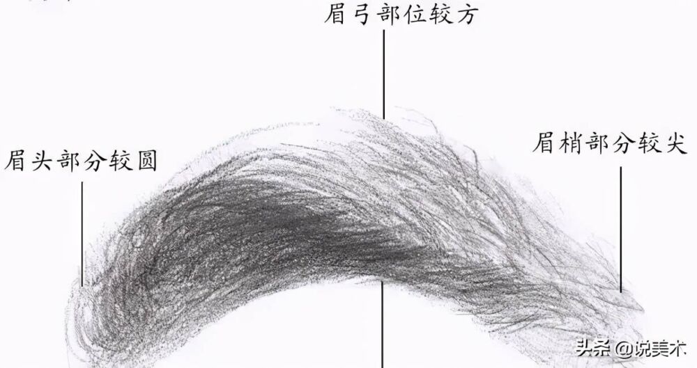 素描入门教程：眼睛结构的讲解以及画法步骤