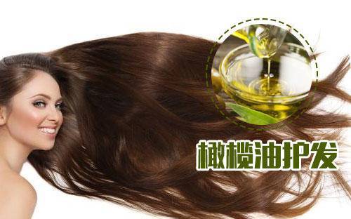巧用橄榄油能护发养发，但要注意这些细节