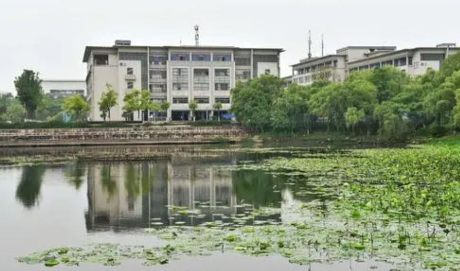 心酸，南京大学金陵学院终止办学，最后一届在校生是什么体验？