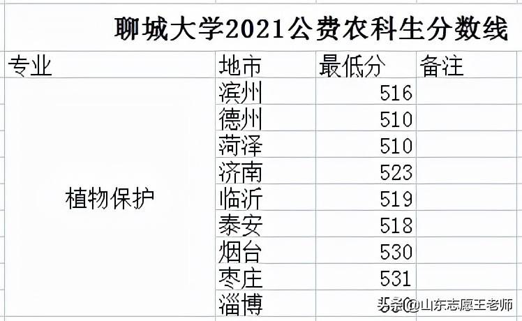 聊城大学2021高考录取分数详情及分析（2022考生收藏）