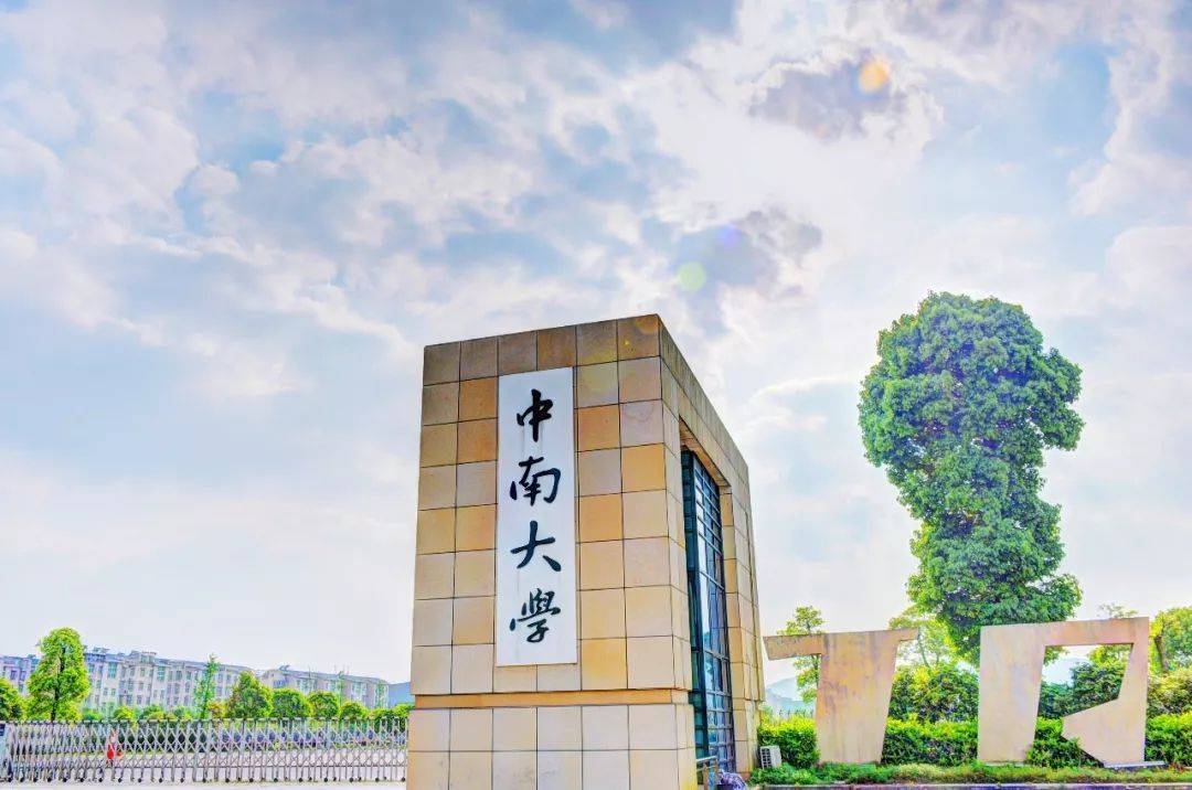 中南大学：湖南第一高校，2021年各省份录取详情