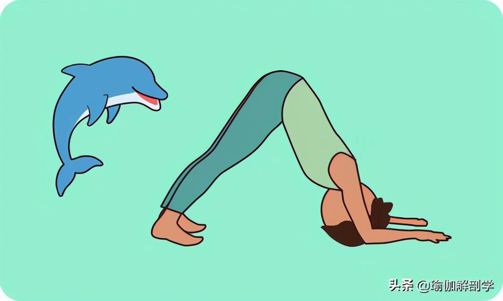 这样练习瑜伽海豚式，美背又瘦手臂，减龄十岁