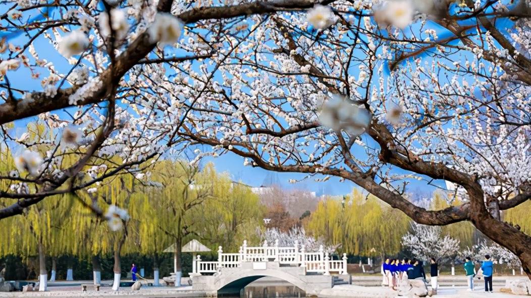 淄博最好的大学，山东理工大学春暖花开，大学风景可以如此美丽