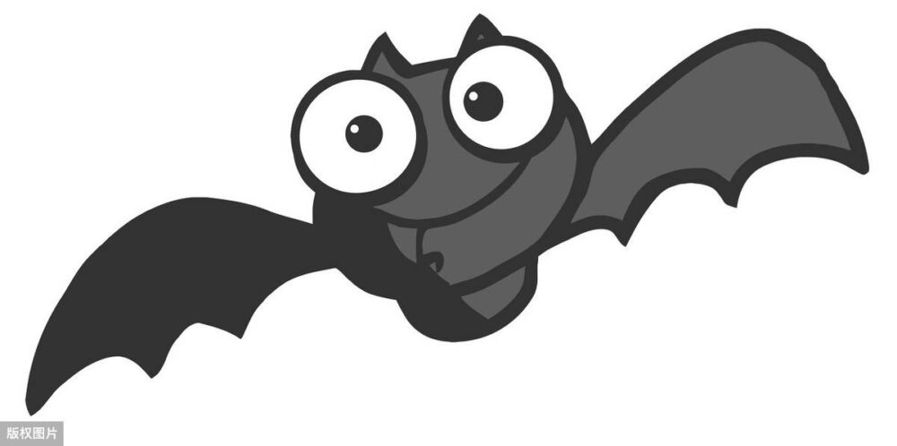 模仿蝙蝠 提升体温增强免疫力 简单3招让身体发热抗病毒