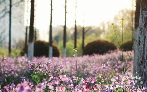 水利工程领域的“霸主”——河海大学