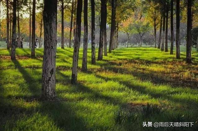 水利工程领域的“霸主”——河海大学