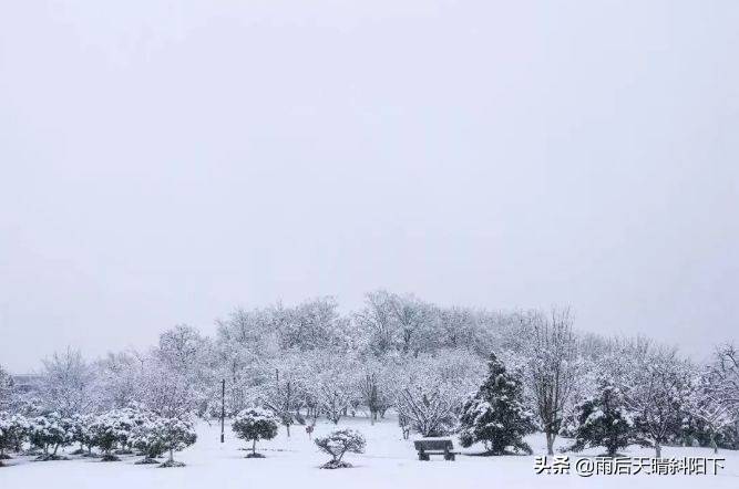 水利工程领域的“霸主”——河海大学