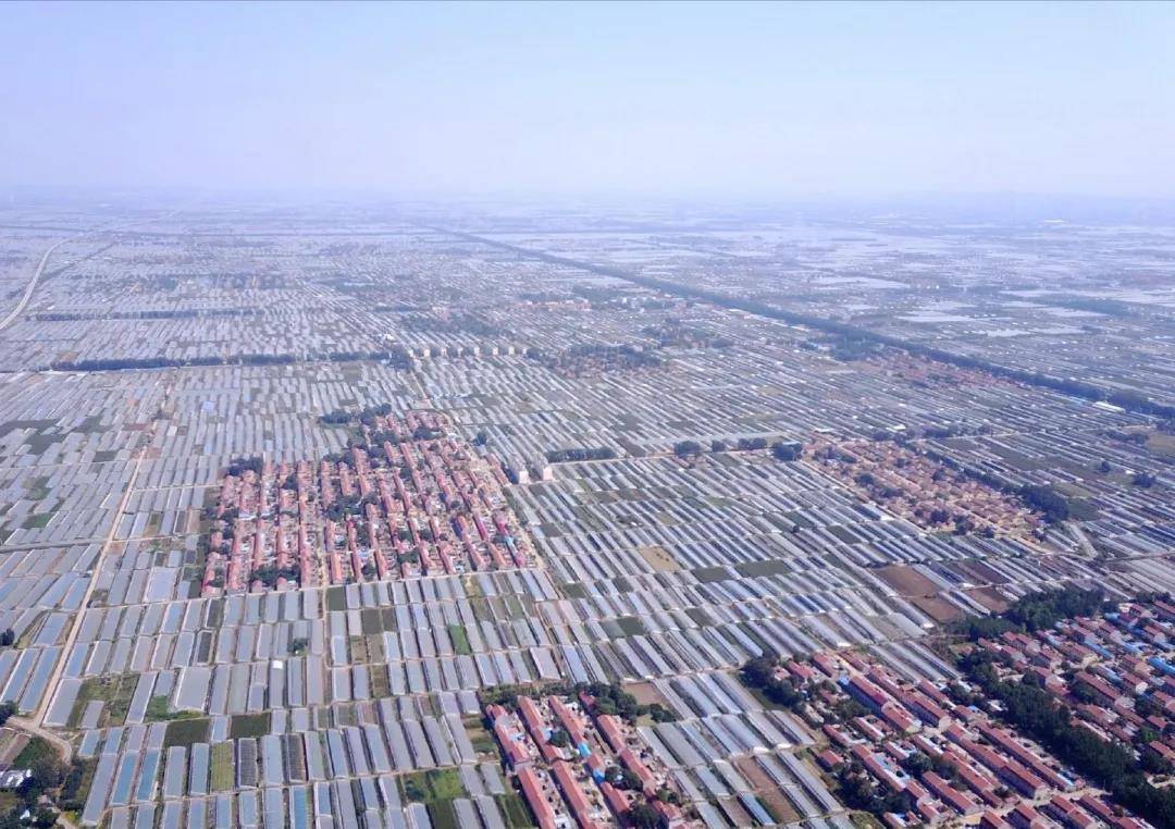 潍坊，一座集大成的“网红城市”