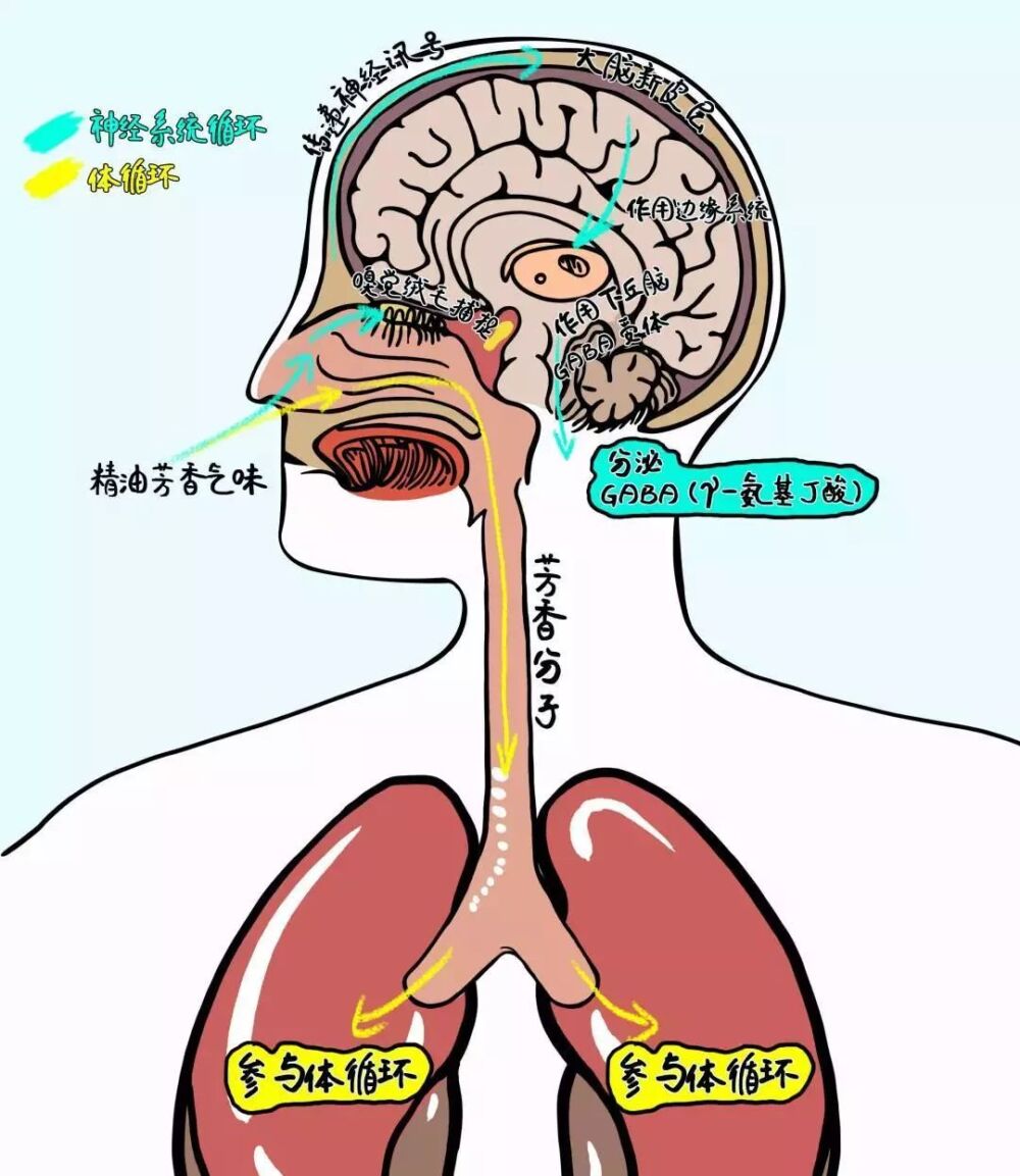 怪不得明星熬夜拍戏皮肤也很好！有助眠神器傍身，好气色不请自来