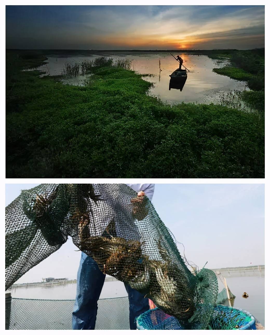 阳澄湖在哪里，阳澄湖吃大闸蟹的最佳地址