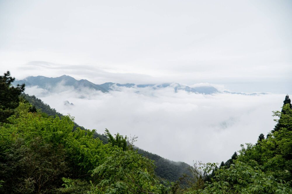 红色文化传承之地，井冈山风景旅游攻略