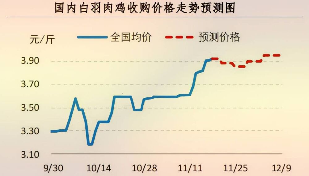 肉鸡市场行情：鸡肉冻品大涨，毛鸡价格涨至8元（20211112-1118）