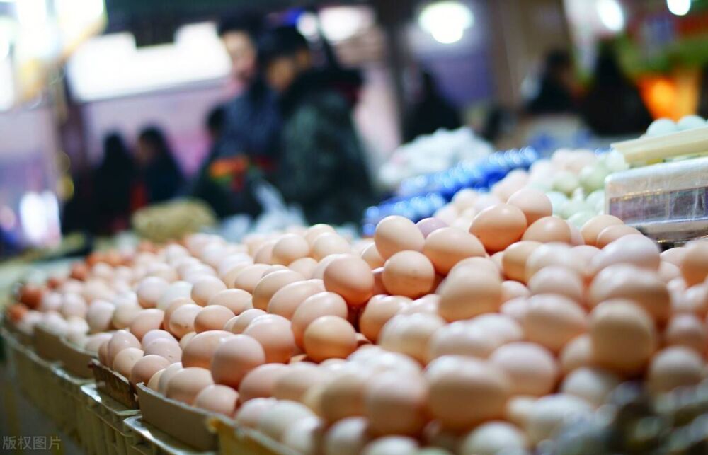 蛋价、羊价涨跌两难，虾价普涨3元，进口创新低，未来3月肉价预测