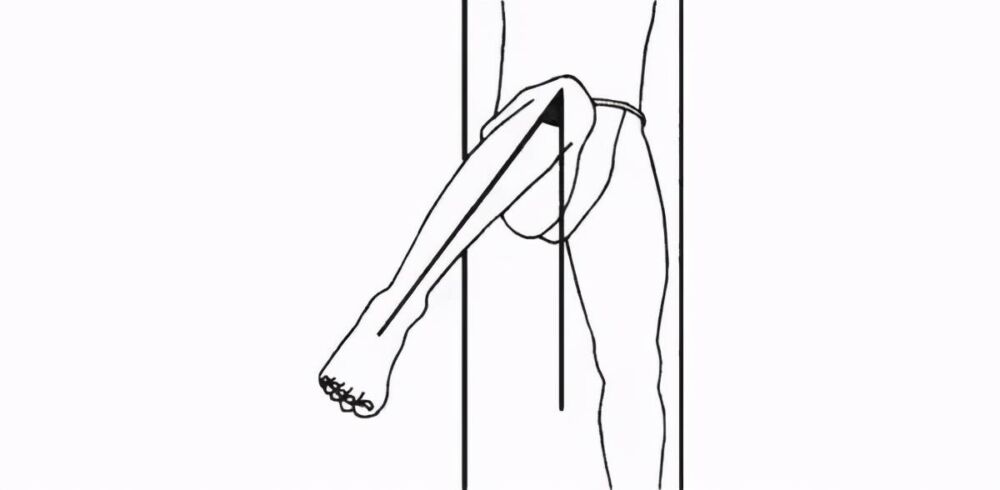 多图展示四肢七大关节的活动范围
