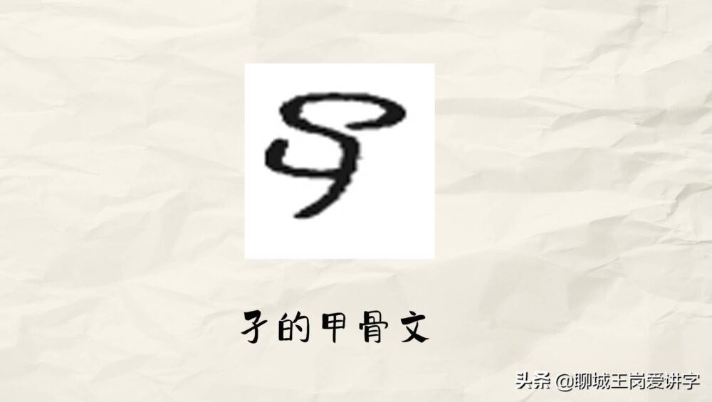 汉字科普：“子孑孓孒”分别指的是什么？你可能没听说过吧