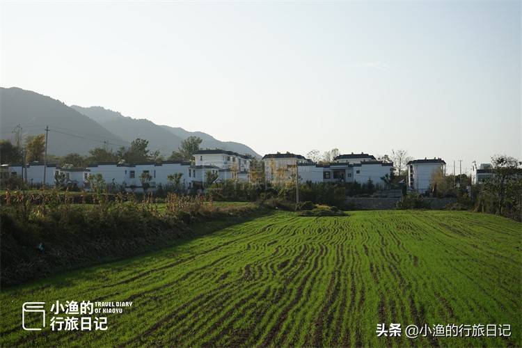 西安初冬去哪玩？秦岭野游好去处，公交车就能到，沿途风景美如画