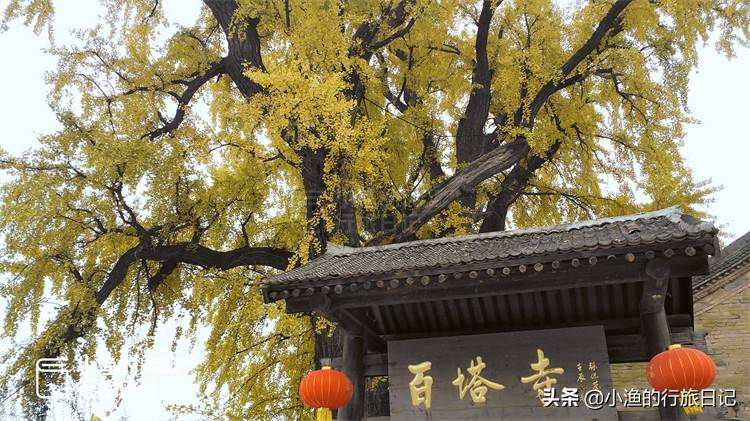 西安初冬去哪玩？秦岭野游好去处，公交车就能到，沿途风景美如画