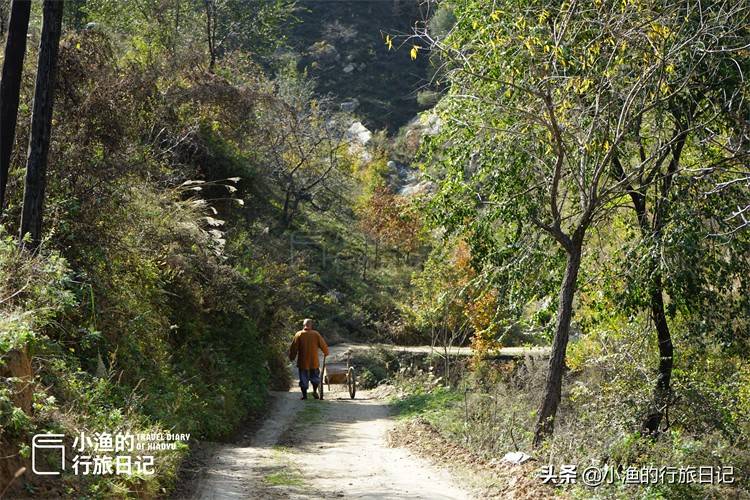 西安初冬去哪玩？秦岭野游好去处，公交车就能到，沿途风景美如画