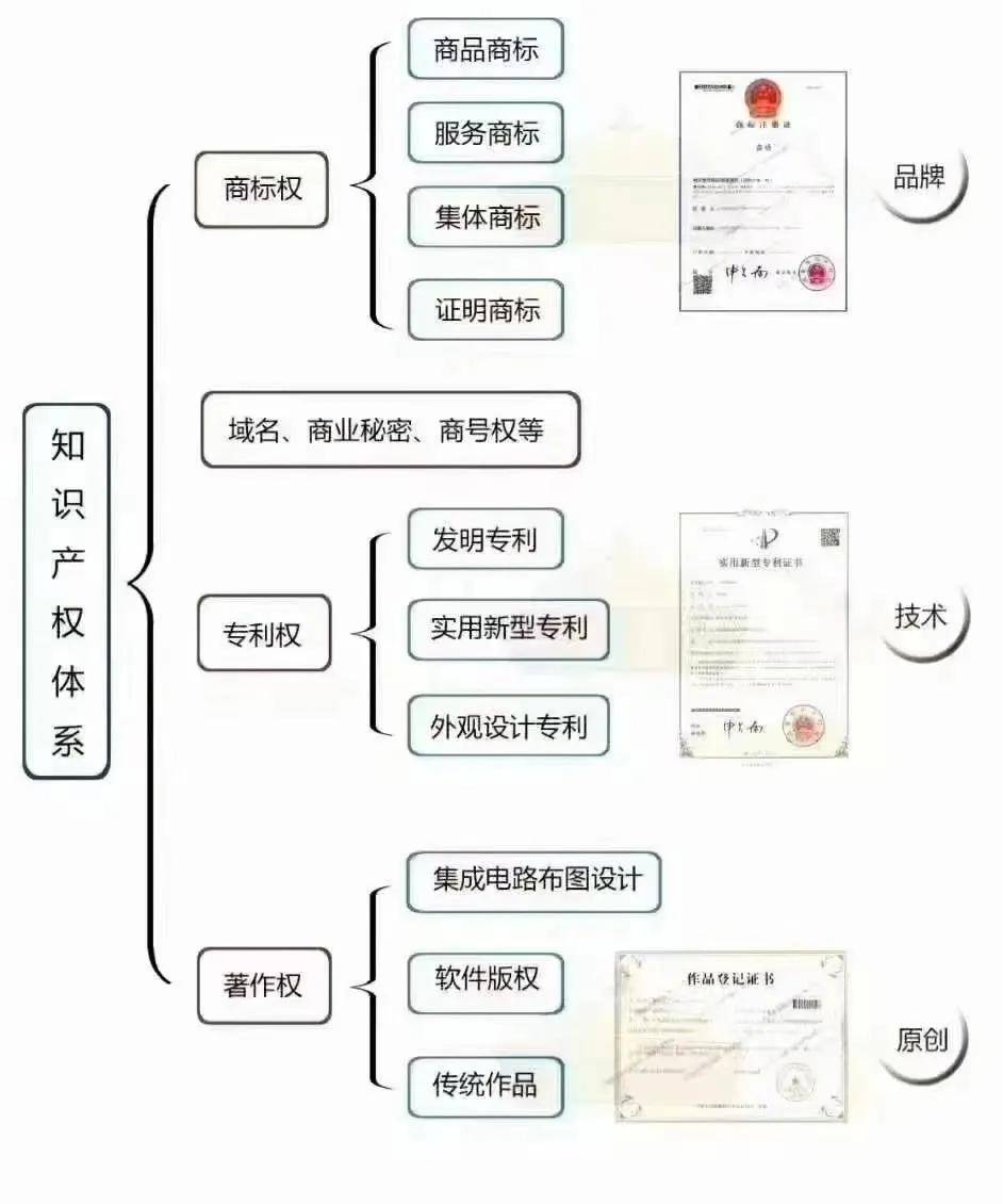 知识产权到底包含哪些？