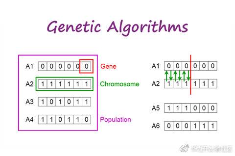 详解智能优化算法：遗传算法和蚁群算法