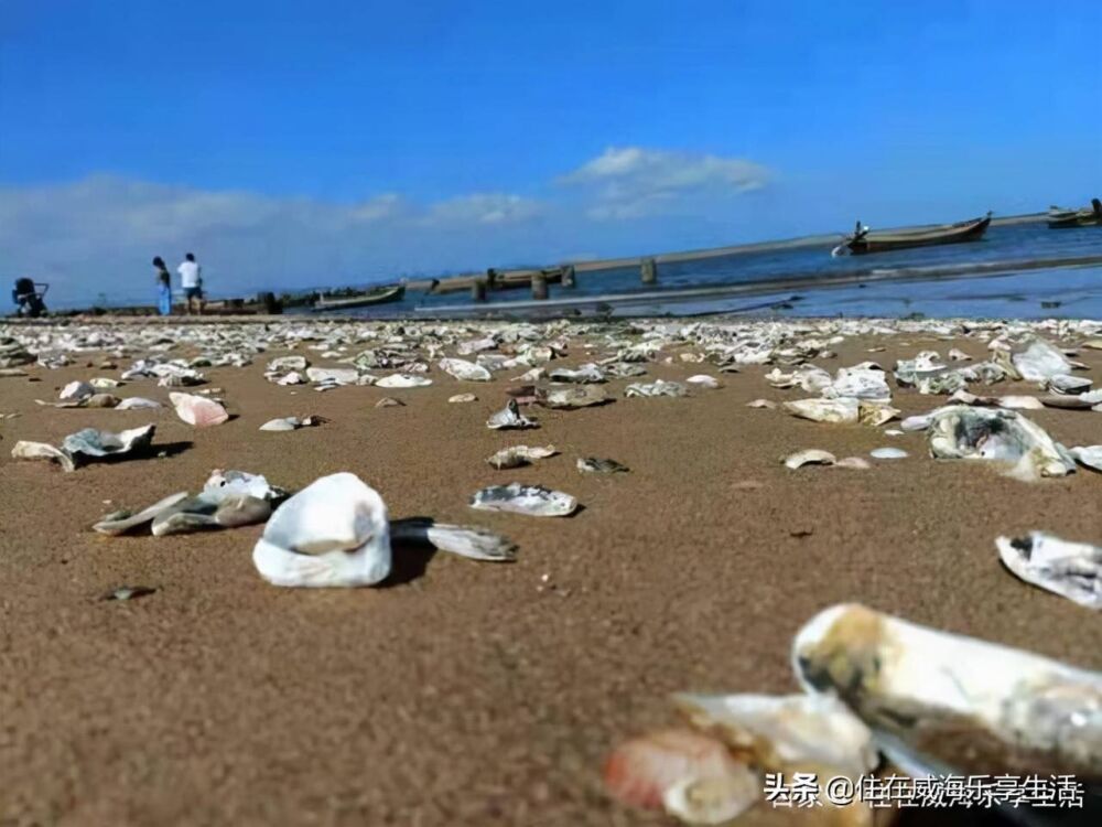 十一长假去哪里，山东威海欢迎您