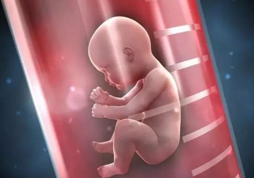 金华有了第二家能做试管婴儿的医院 东阳首例试管婴儿胚胎移植成功